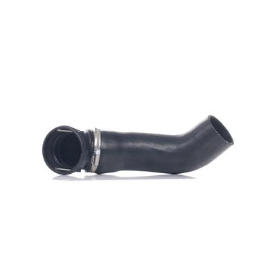 RIDEX Ladeluftschlauch BMW 3314C0054 11613405535,11613450222 Image
