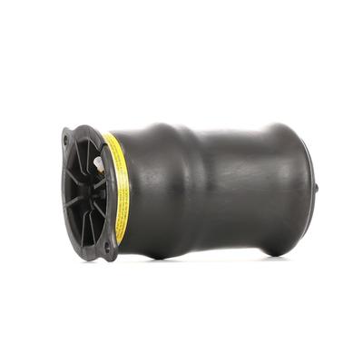 RIDEX Luftfeder, Fahrwerk MERCEDES-BENZ 4119A0034 6393280301,A6393280101,A6393280201 A6393280301,6393280101,6393280201 Image