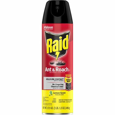 Raid Ant & Roach Killer Spray, 17.50 fl oz (SJN365988)