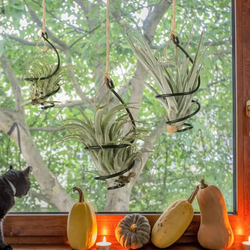 6-teiliger Luftpflanzenhalter aus Metall zum Aufhängen von Tillandsia-Behältern, Wirbel-Luftpflanzenhalter, Balkon, Garten, Metall, Luftpflanzenständer, Heimdekoration Image