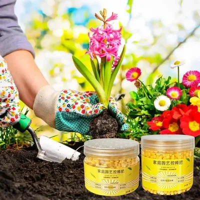 120days Long Acting Granular Fertilizer Slow Release Fertilizer General Controlled Release Fertilizer For Green Plants And