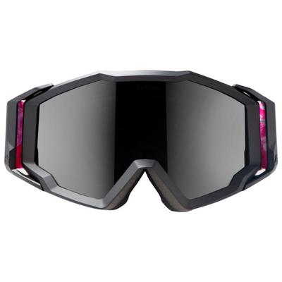Alpina - Circus - Goggles grau Image