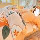 ALSUP 4 Piece Duvet Cover Set Winter Thickened Milk Velvet Four-Piece Set Snowflake Velvet Double-Sided Velvet Warm Coral Velvet Bed Sheet And Quilt Cover Four-Piece Set,014,Type A