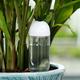 Cute Antlers Garden Automatic Watering System - Self-Watering Kit for Indoor Houseplants with 16.91oz Water Capacity, 7-Day Water Supply, Drip Irrigation, and Spike Design for Easy Planting