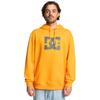 Kapuzensweatshirt DC SHOES "DC Star", Herren, Gr. L, gelb (radiant gelb), 55% gekämmte Baumwolle, 25% Baumwolle, 20% Polyester, Langarm, Sweatshirts