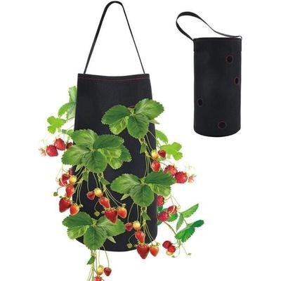 Ersandy - Erdbeer-Pflanzbeutel, Pflanzbeutel, Garten-Pflanzbeutel für Erdbeeren, für Image