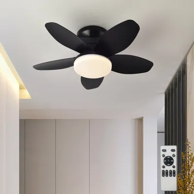 Ceiling+Fans