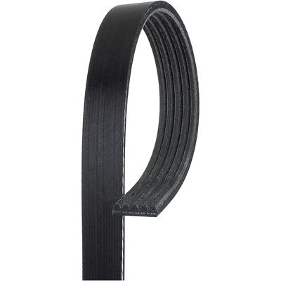 Gates Drive Belt V-belt, Alternator and Air Conditioning, Lifetime limited warranty 5K398AP