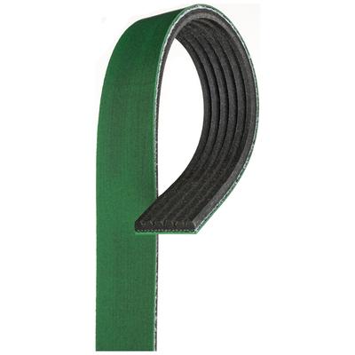 Gates Serpentine Belt, Air Conditioning, K060470HD
