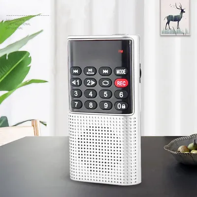 L-328 FM Radio Akku Mini Tragbare Tasche FM Radio Handheld Lautsprecher USB TF MP3 Walkman Radios mit Recorder Image
