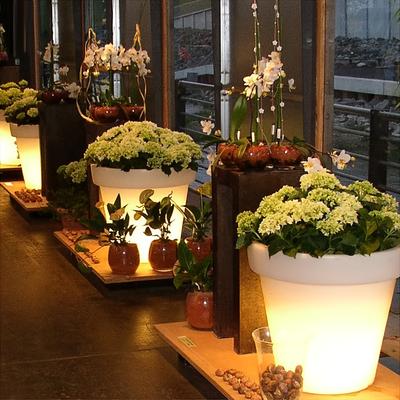 TEMU 1pcs/ 2pcs/ 3pcsflower Pot Lights - Ambient Lighting For Indoor And Outdoor - Tables, Bedrooms, Living Rooms, Offices, Windows, , Courtyards, And Gardens