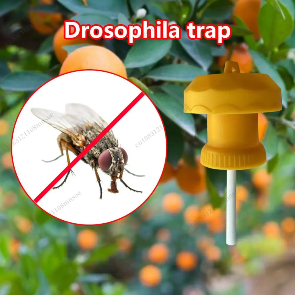 20/1PCS Garten Obst Mörder Drosophila Falle Kunststoff Gelb Fliegen Catcher Pest Insekten Kontrolle Gemüse Bauernhof Zubehör 6*6*2Cm Image