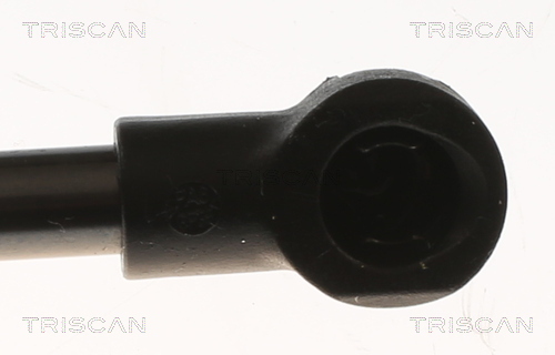 TRISCAN Gasfeder, Koffer-/Laderaum 555N für SEAT 6F9827550B 6F9827550D 6F9827550A 8710 29315 Image