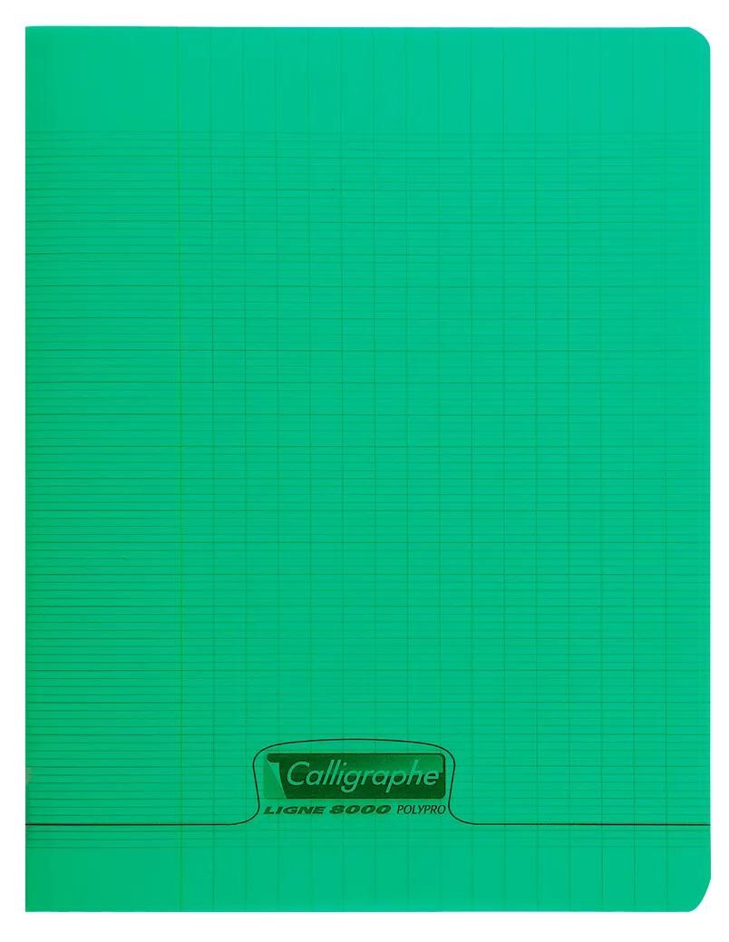 Calligraphe 10x PIQ.8000 PP VERT 17X22 48P SEYES 90G- Grün 18105C Image