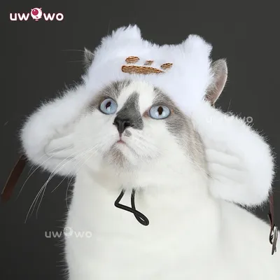 Card image cap