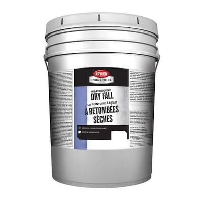 KRYLON INDUSTRIAL K000Z5900-20 Paint,Waterborne Resin,White,Flat Finish