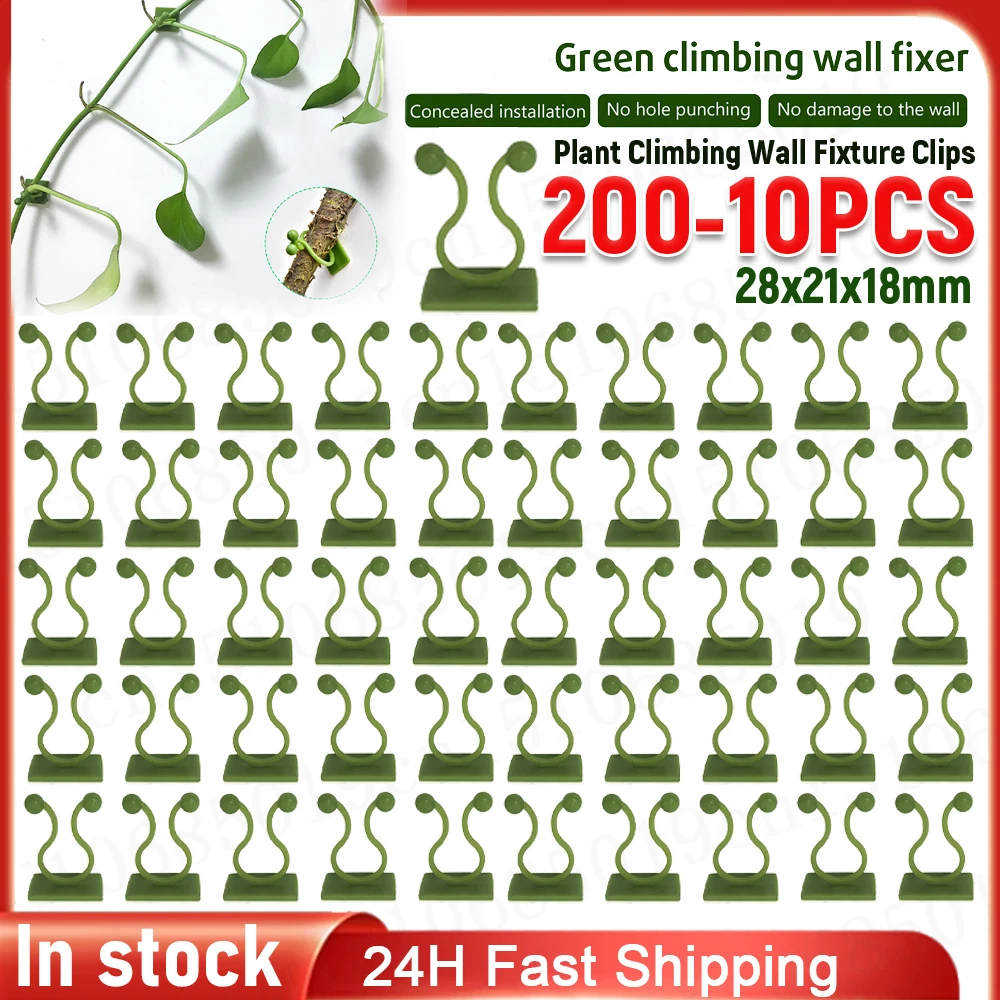 100–10 Stück Pflanzenkletter-Wandbefestigungsklammern, unsichtbare Wandreben, Befestigungsclips, selbstklebende Pflanzenwandklammern für Kletterpflanzen Image
