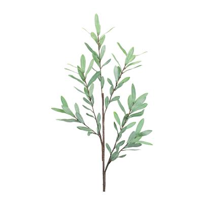 Olive Leaf Twig Branch (Set of 2) by Melrose in Green
