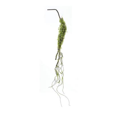 Moss Foliage Vine Branch (Set of 2) by Melrose in Green/brown
