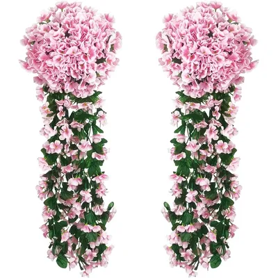 Flowers+Plants