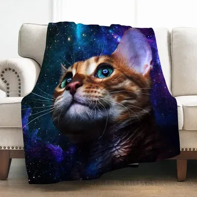 Miscellaneous+Home+Decor