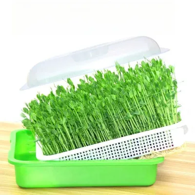 1set prout Sprout Pot Sprout Vegetable Seedling Tray Soilless Cultivation Hydroponic Equipment Pea