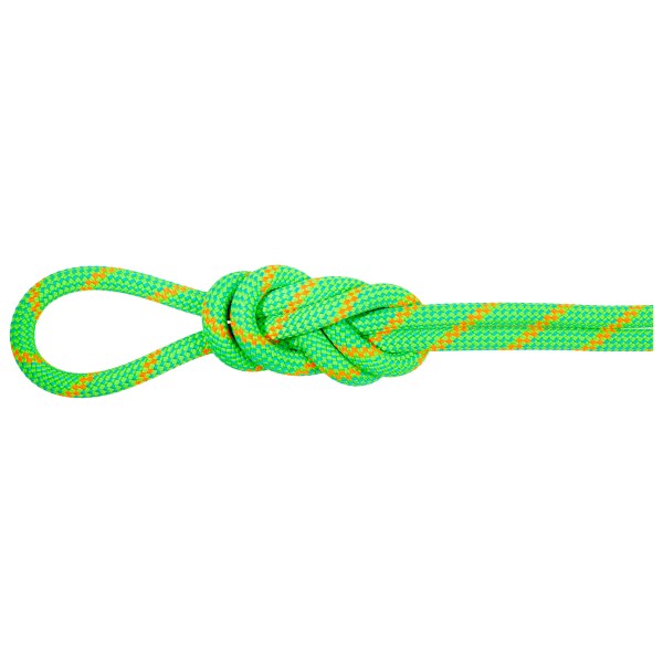 Mammut - 8.0 Alpine Eco Dry Rope - Halbseil Länge 30 m grün