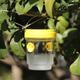Plastic Bee Traps, Insect Lure Bottle, Indoor Outdoor Wasp Catcher for House Kitchen Plants Trees Flying Insects Pest Control