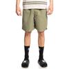 Bermudas DC SHOES "Stryker 18"", Herren, Gr. M, grün (deep lichen grün), 100% Polyester, Hosen