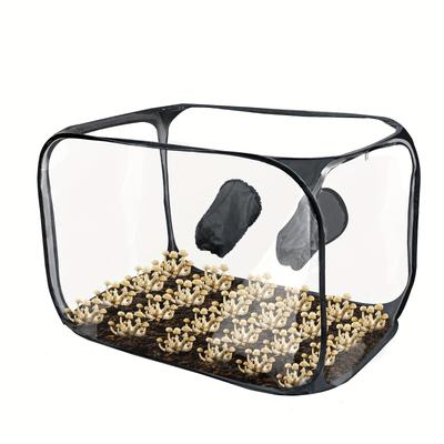 TEMU 1pc Pvc Mushroom Growing Box, Portable Foldable Pop Up Mushroom Grow Tent, Mushroom Growing Container Image