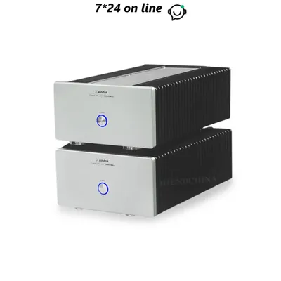 N-013 HIFI AUDIO XA8800MNu Mini Mono Power Verstärker AMP Power AMP Mono Block 160 W (8 Ohm) (PAAR) Image