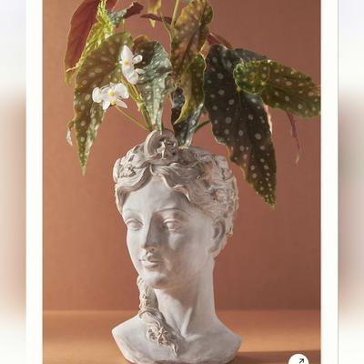 Anthropologie Accents | Anthropologie Celestial Grecian Bust Cement Pot - Light Grey | Color: Gray | Size: Large