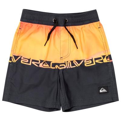 Quiksilver - Kid's Everyday Straight Volley Boy 12 - Boardshorts Gr 6 Years grau Image