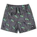 Quiksilver - Kid's Next Gen Volley 14 - Boardshorts Gr 14 Years grau