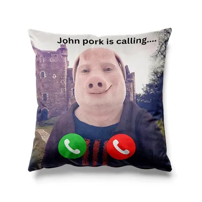 Aertemisi 18'' x 18'' John Pork ruft quadratische Dekokissenbezüge, Kissenbezüge, 45 cm x 45 cm Image
