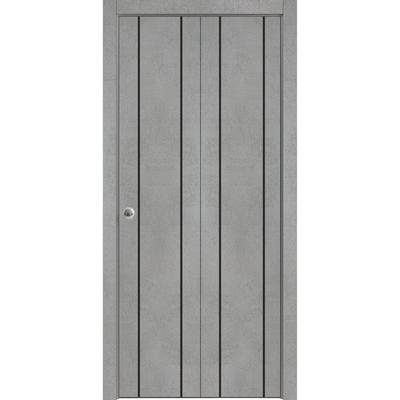 Slab Barn Door Panel 28 x 80 Planum 0016 Concrete with Sturdy Finished