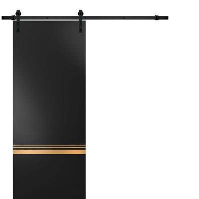 Sturdy Barn Door 18 x 80 Planum 2010 Matte Black with 6.6FT