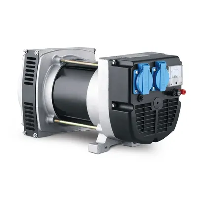 2000W 3000rpm 3600rpm DC12V 8.3A Synchronous Portable Generator AC Generator for Generator