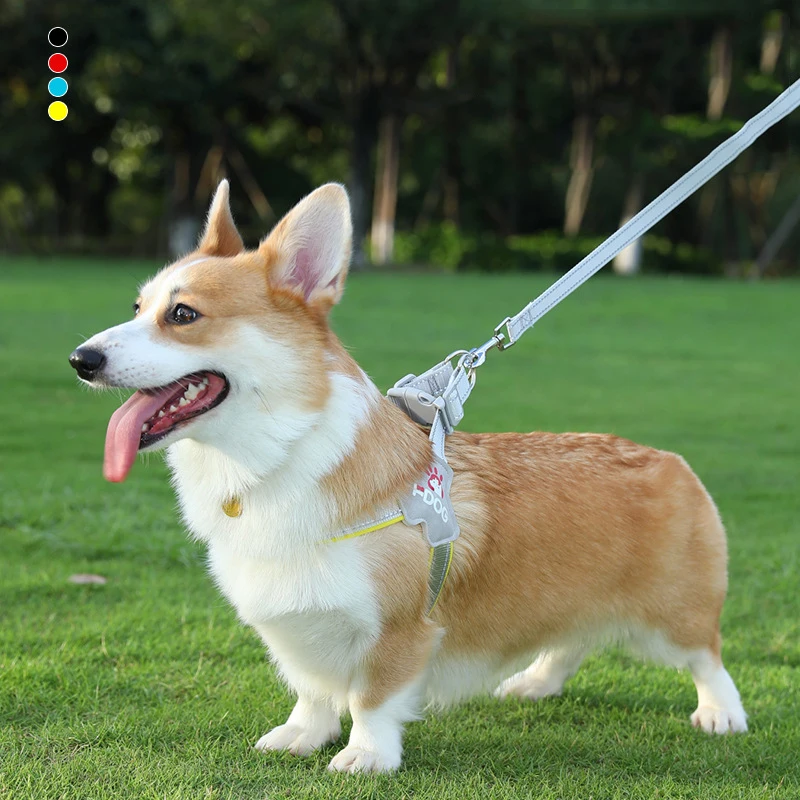 Haustierleine Y-förmiger Hunde-Brustgurt, reflektierende, verstellbare Weste, explosionsgeschützte kleine und mittelgroße Hunde-Laufleine Image