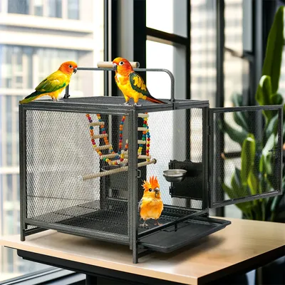 Tragbarer Vogelkäfig, Laufstall, Reisetrage, Käfig mit abnehmbarem Tablett für Hängematten-Spielzeug Image