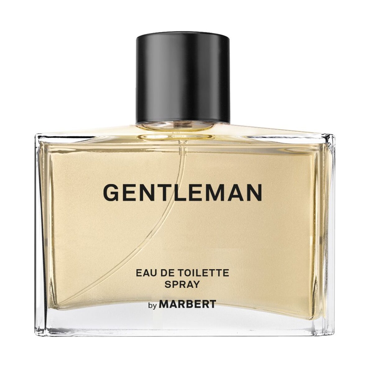 Gentleman - EdT Spray 100ml Image