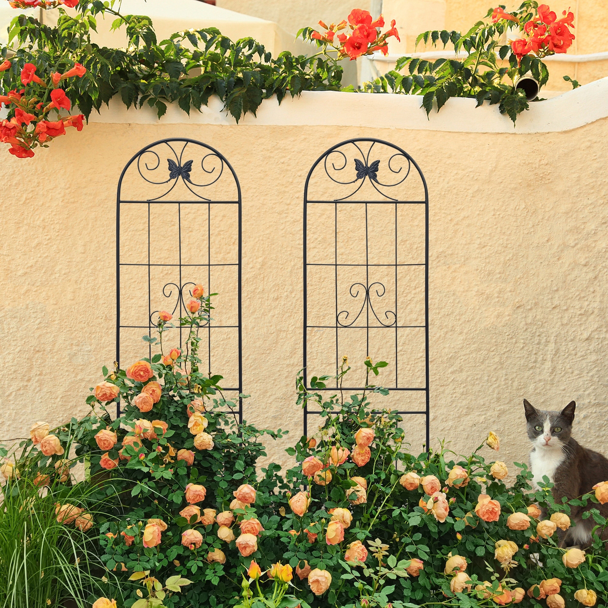 2 Pack Metal Garden Trellis,Climbing Plants Support Outdoor
