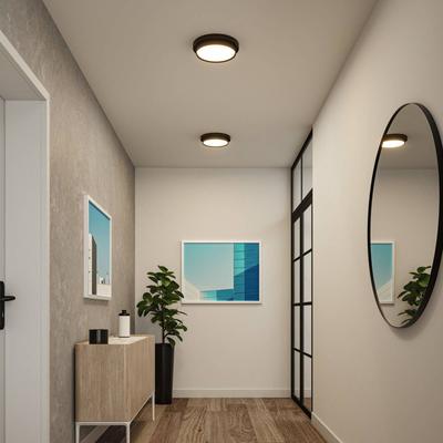 Paulmann Malik LED-Deckenlampe, 3-step-dim schwarz Image