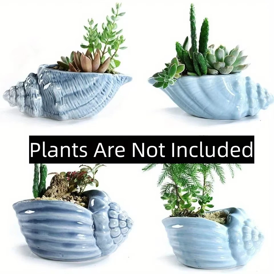 Niedliche kleine Muschel-Sukkulenten-Pflanztöpfe, Muschel, kreative Keramik-Mini-Mini-Töpfe, Desktop-Shell, saftiger Keramik-Pflanzer Image