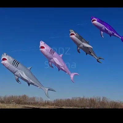 Riesiger, weicher, aufblasbarer LED-Anhänger, 18 m, Haifisch, Show-Drachen, Rip-Stop-Nylon-Schnur, Image