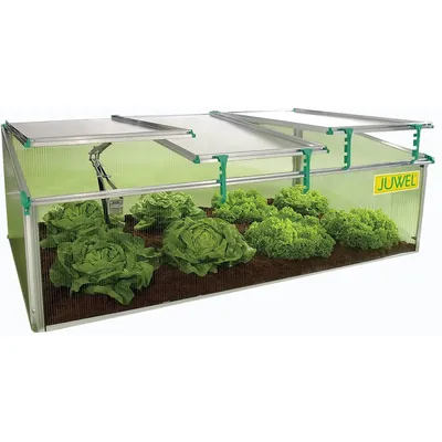 Biostar 1500-NP Juwel Premium Cold Frame Mini Greenhouse, 59 in. W x 32 in. D x 20 in. H, Clear