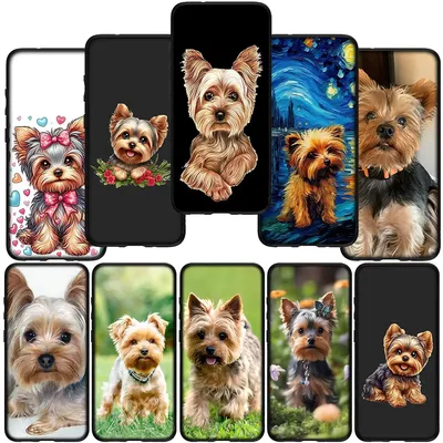 Yorkshire Terrier Yorkie Hund Haustier Abdeckung Fall für Samsung Galaxy A10 A20 A22 A30 A31 A32 A50 Image