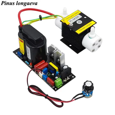 CE FCC ROHS Patented product 1G/H 1gram 1000mg adjustable ozone generator Kit household ozonator oil