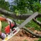 52CC Gas Chainsaw 20 Inch Power Chain Saw with 18.6 OZ Fuel Oil Mixing Bottle Gas Powered Chainsaw 2