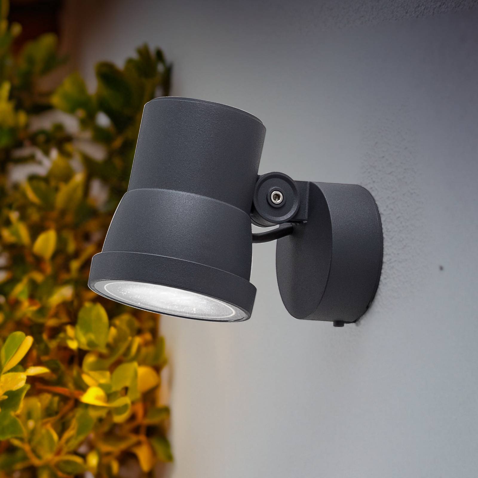 BEGA LED-Scheinwerfer 84952K3, DALI, grafit, Aluminiumguss 84952K3, schwarz, Aluminium, LED Außenleuchte